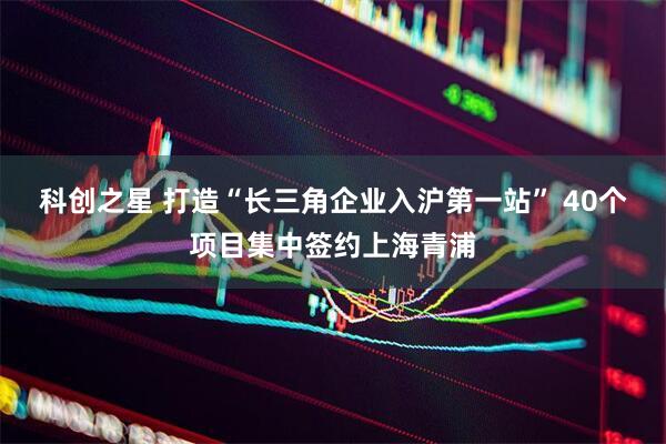 科创之星 打造“长三角企业入沪第一站” 40个项目集中签约上海青浦